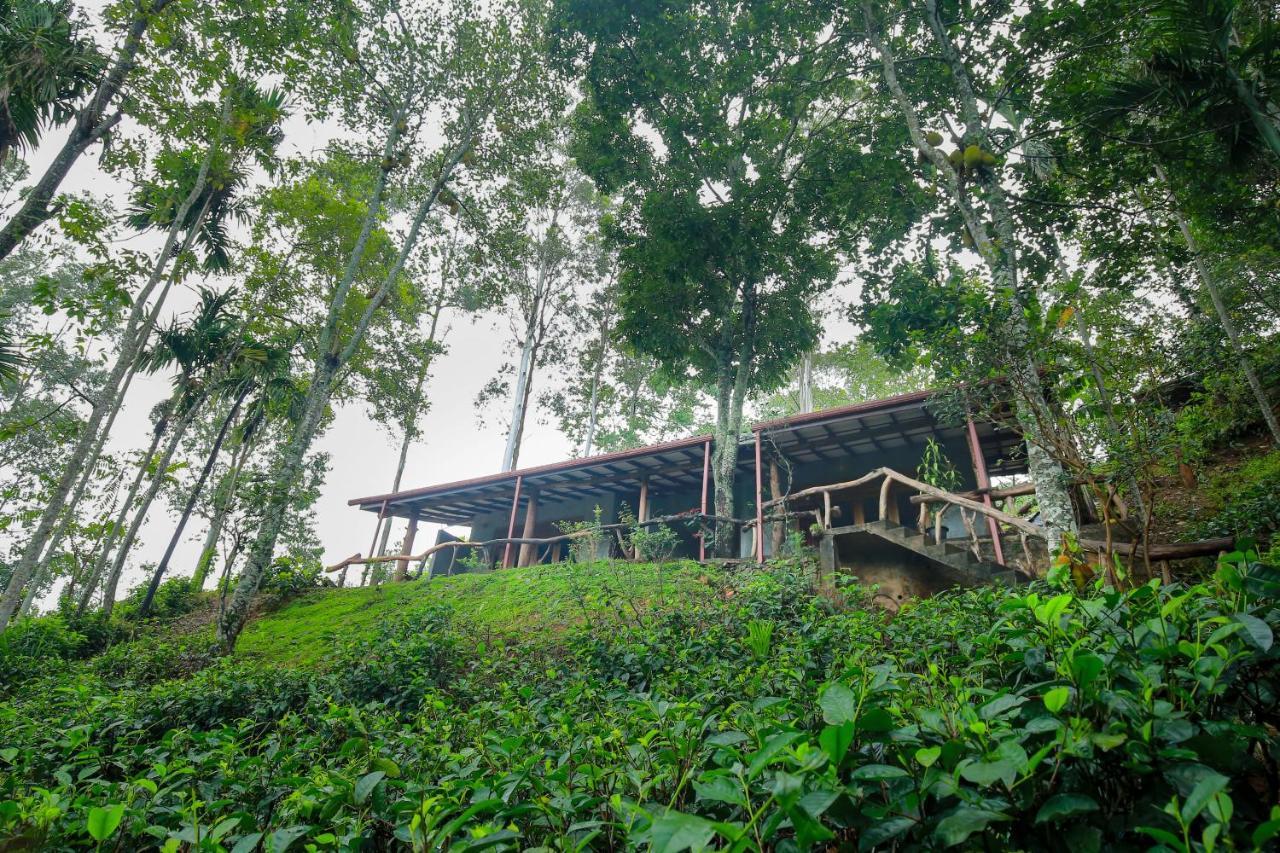 The Spice Lodge Елла Екстер'єр фото